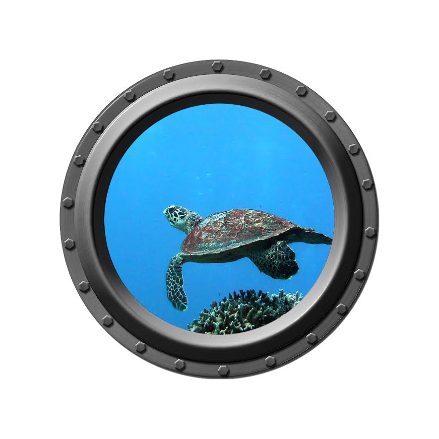 Porthole Wall Decal - Turtle Dancer
