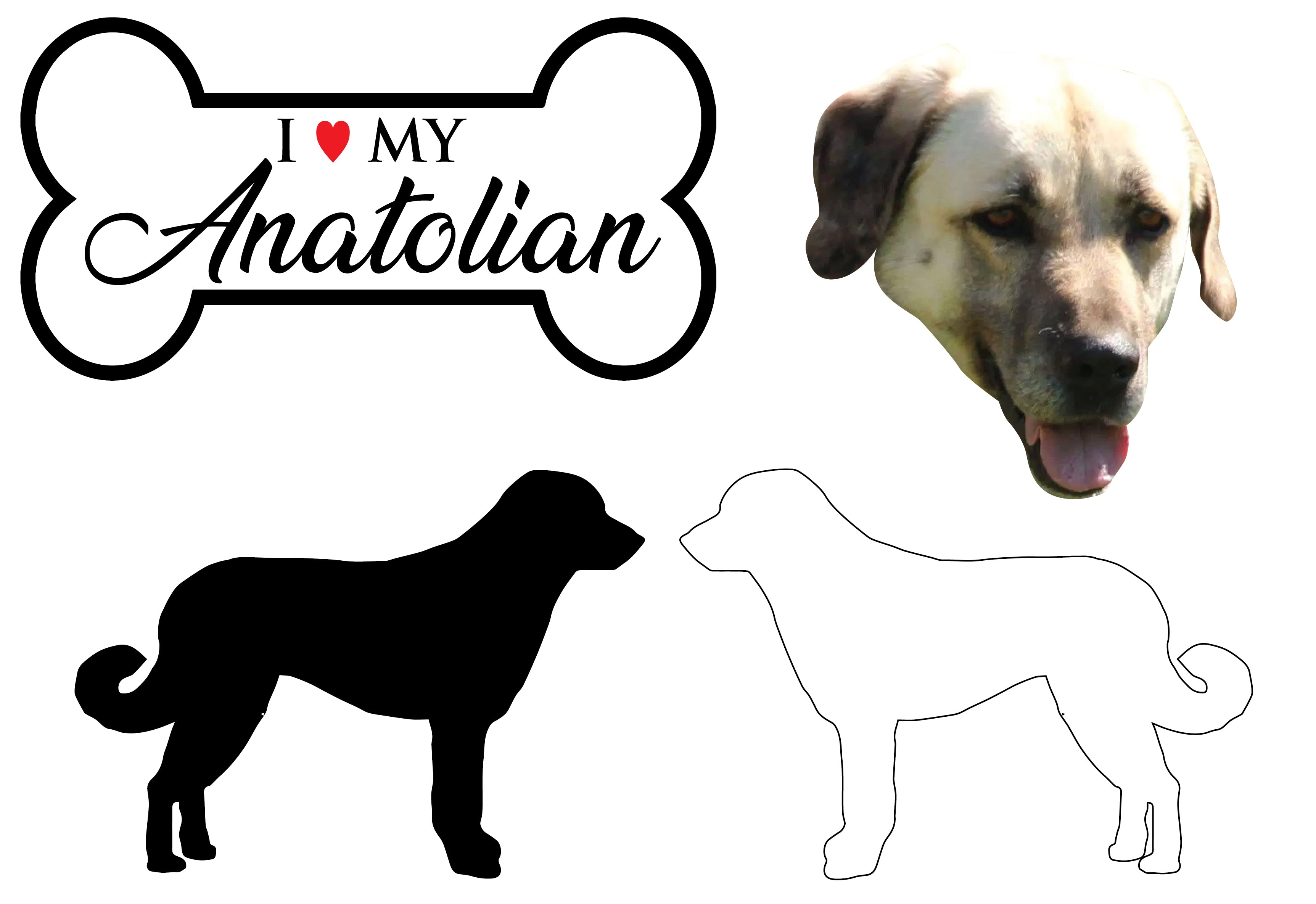 Anatolian - Dog Breed Decals (Set of 16) - Sizes in Description