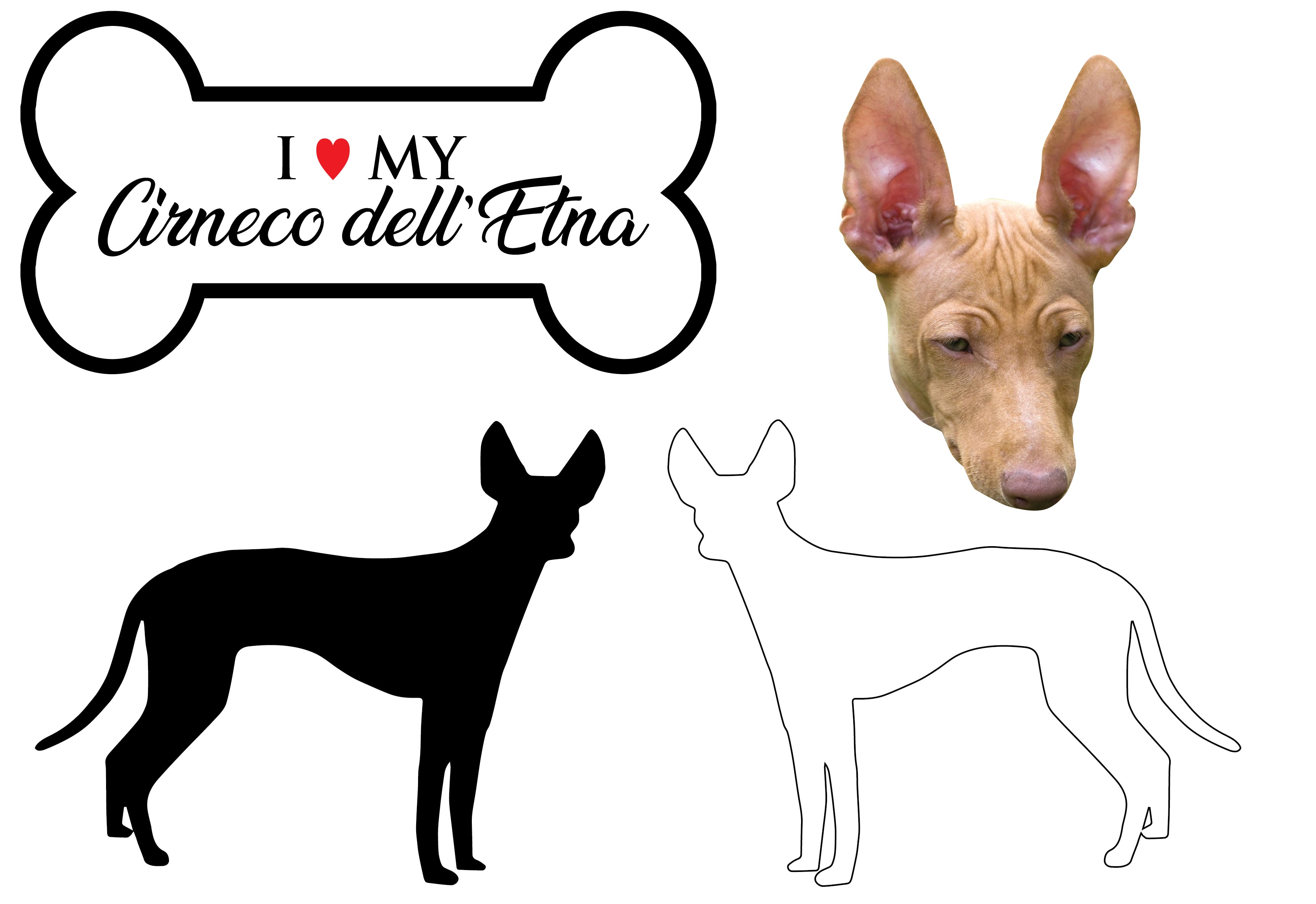 Cirneco dell’Etna - Dog Breed Decals (Set of 16) - Sizes in Description