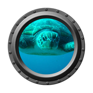 Close Up Sea Turtle Porthole Wall Decal