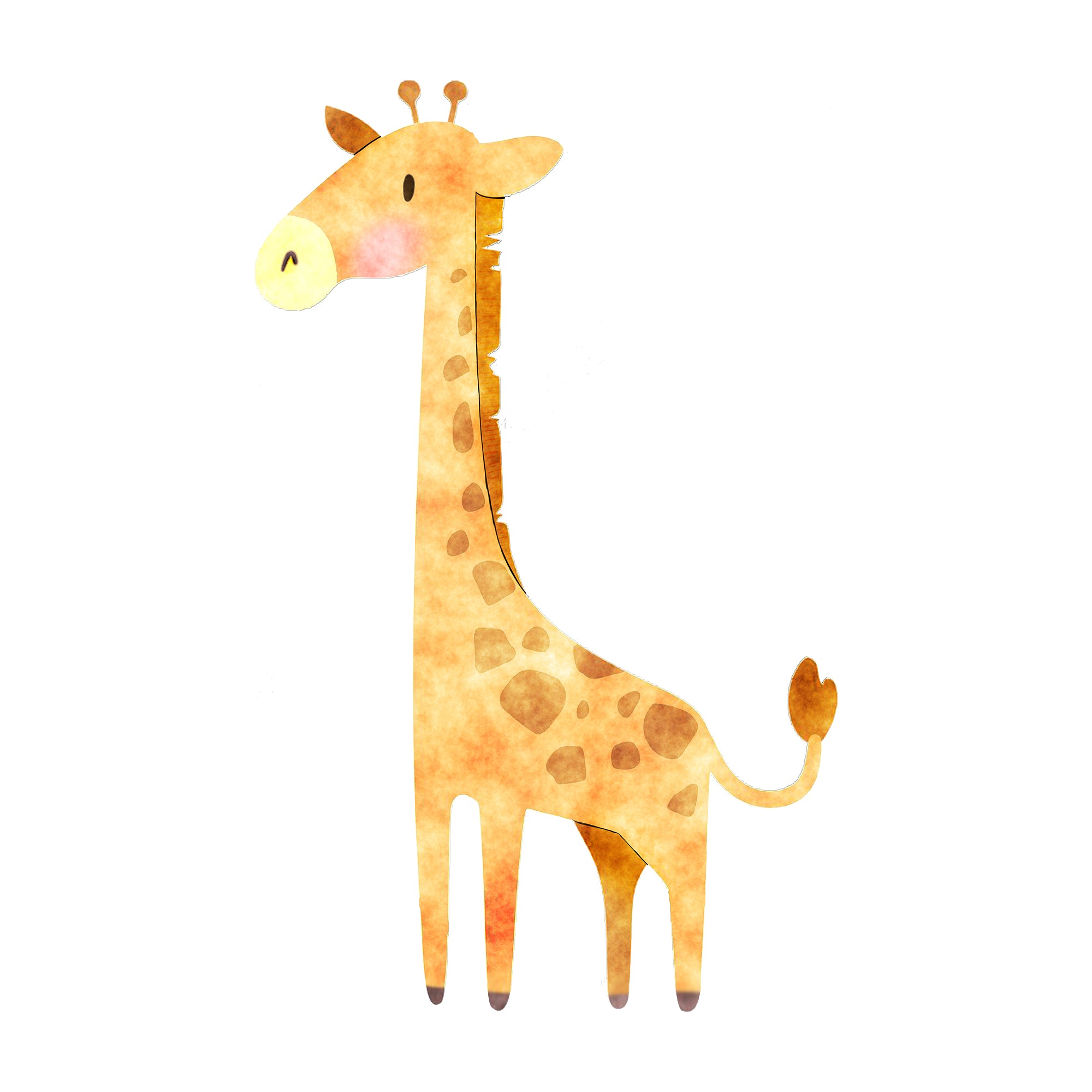 Giraffe - Kameelperd - Safari Animals Series - Wall Decal - Great For Nurseries & Children Rooms