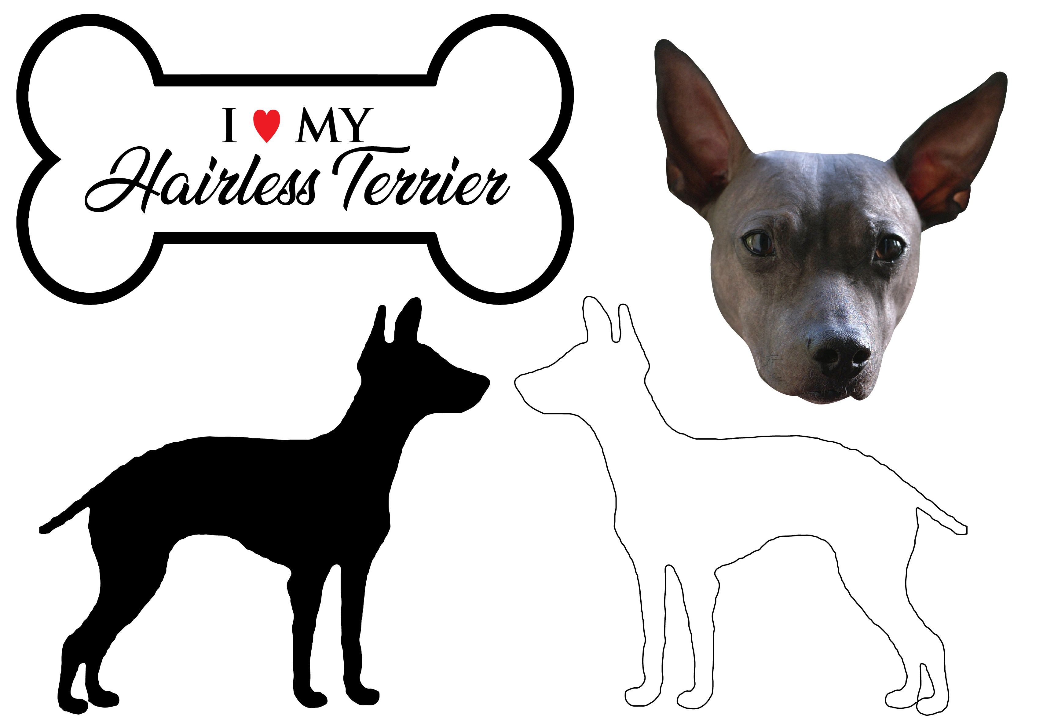Hairless Terrier - Dog Breed Decals (Set of 16) - Sizes in Description