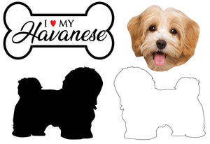 Havanese - Dog Breed Decals (Set of 16) - Sizes in Description