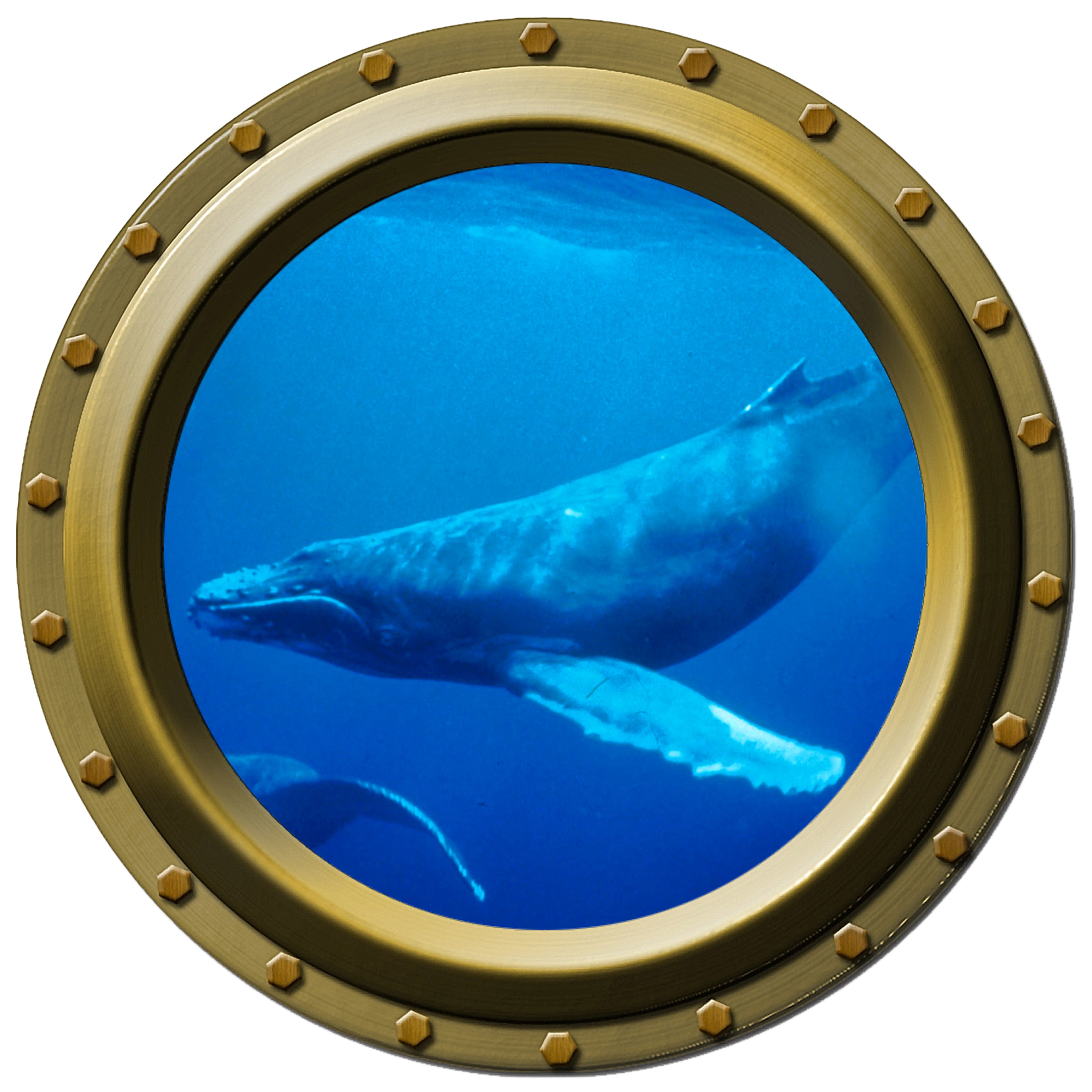 Humpback Whale Porthole Wall Decal