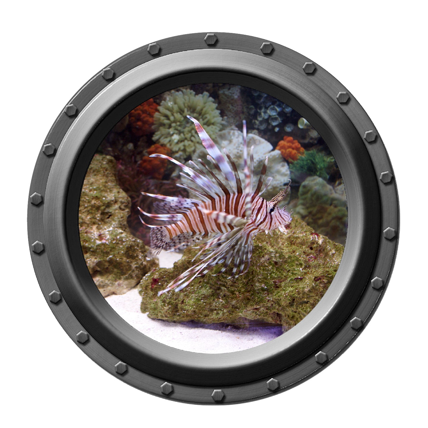 Lionfish Tropical Fish Porthole Wall Decal