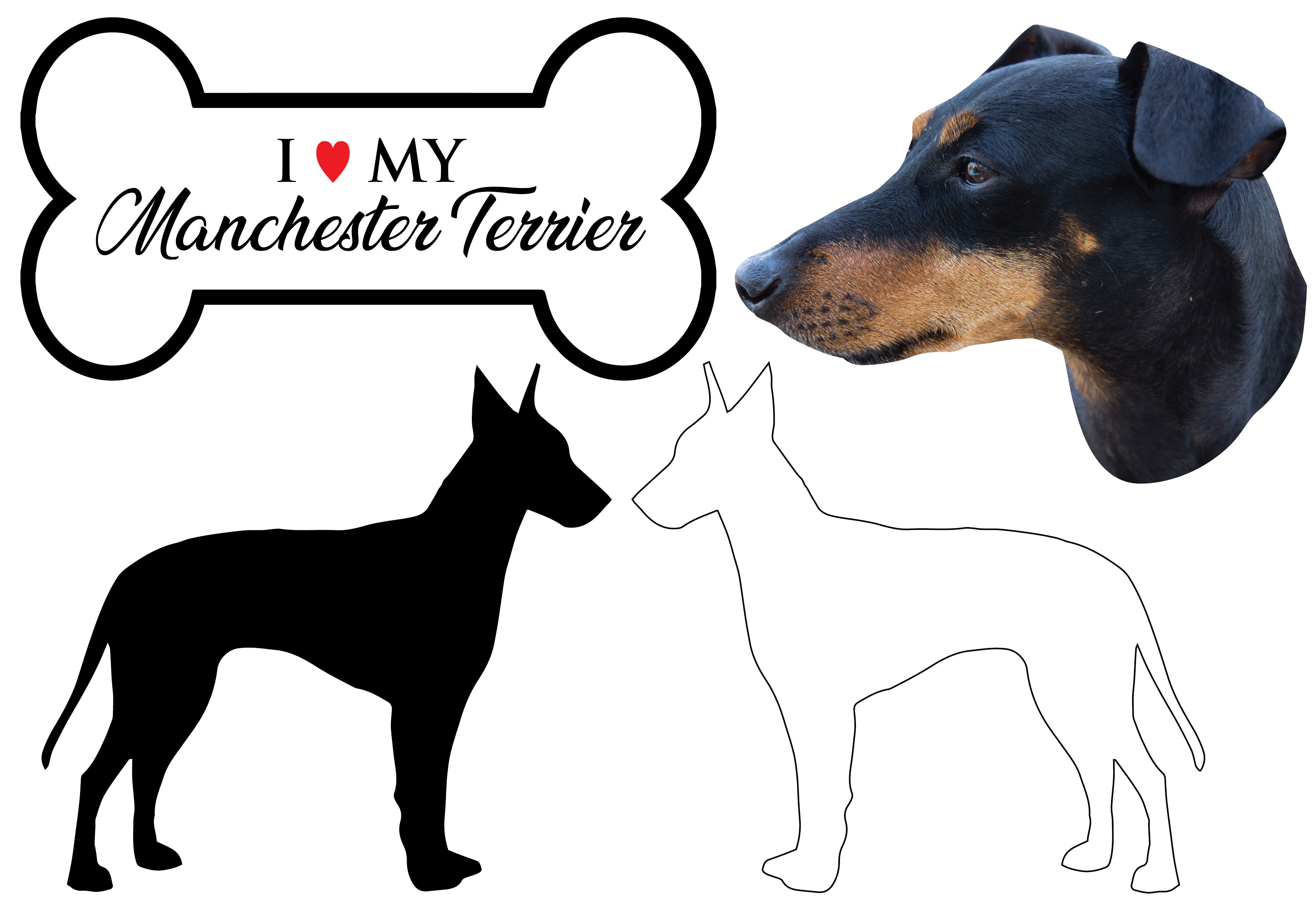 Manchester Terrier - Dog Breed Decals (Set of 16) - Sizes in Description