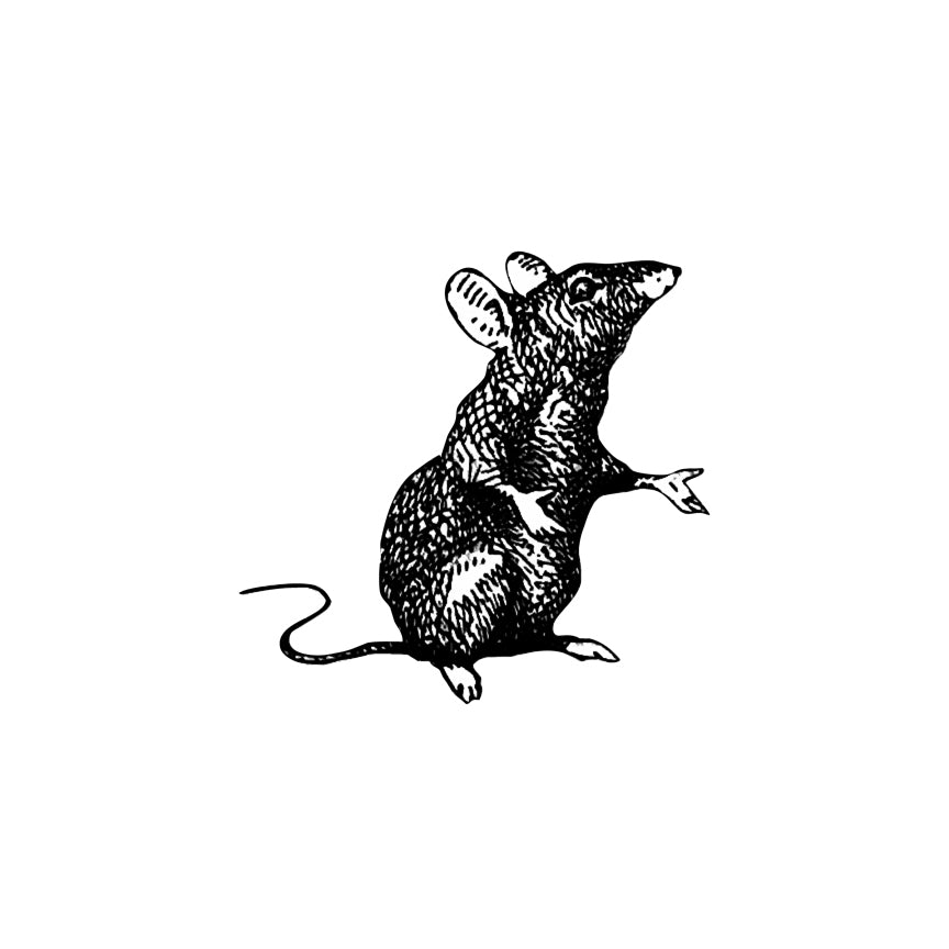 Mouse Wall Decal - Pen and Ink Style - 6" wide x 6" tall