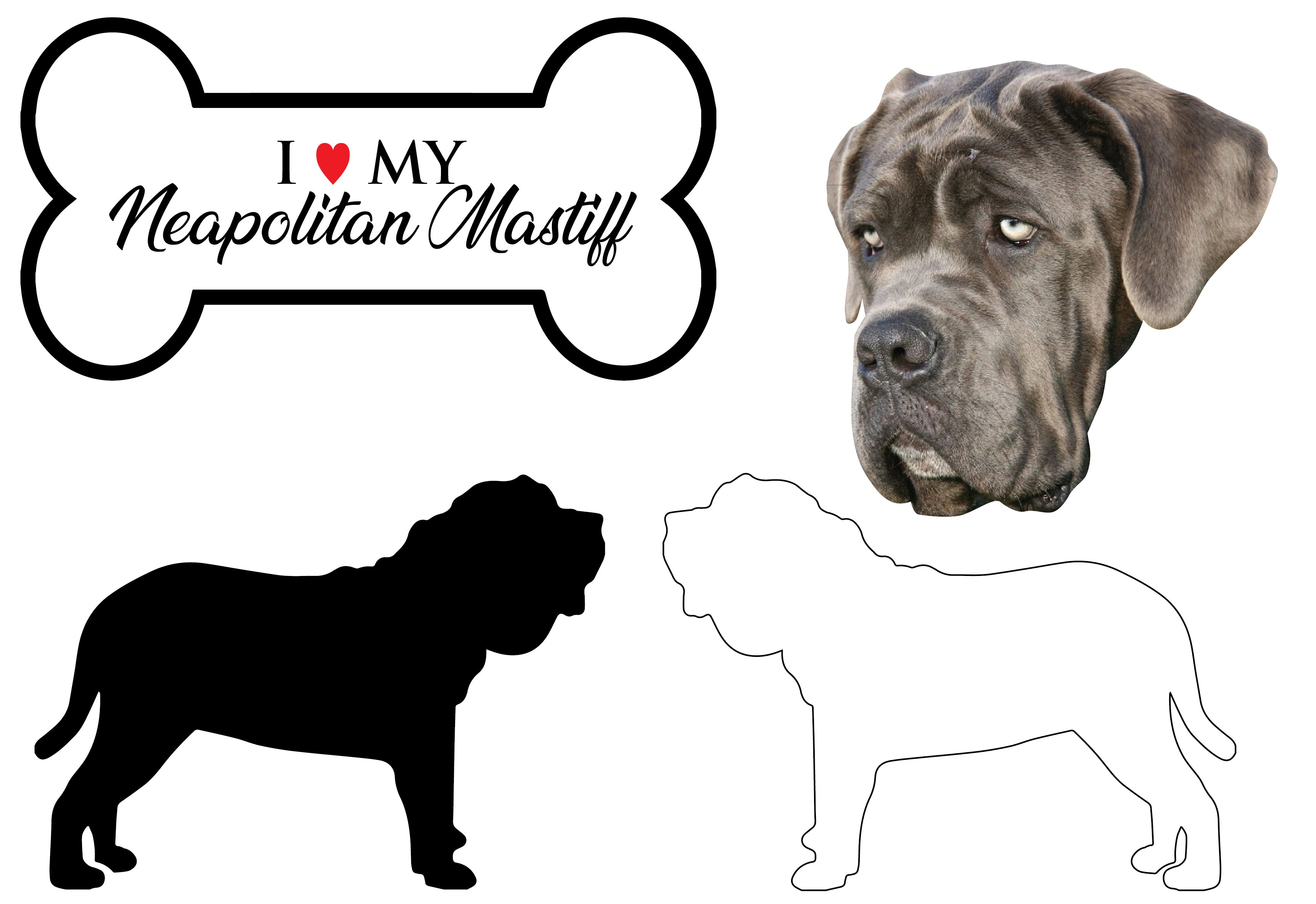 Neapolitan Mastiff - Dog Breed Decals (Set of 16) - Sizes in Description
