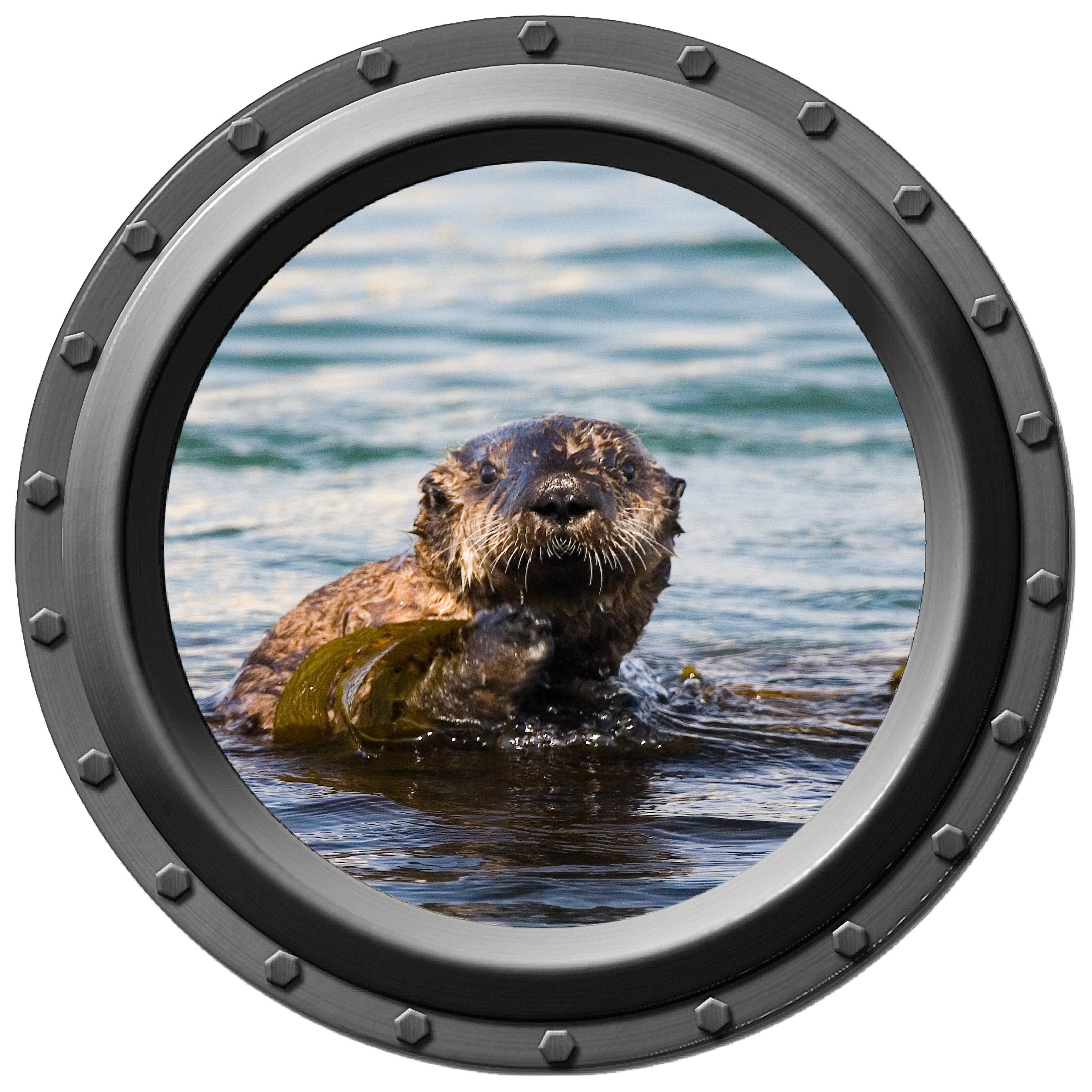 Sea Otter Porthole Wall Decal