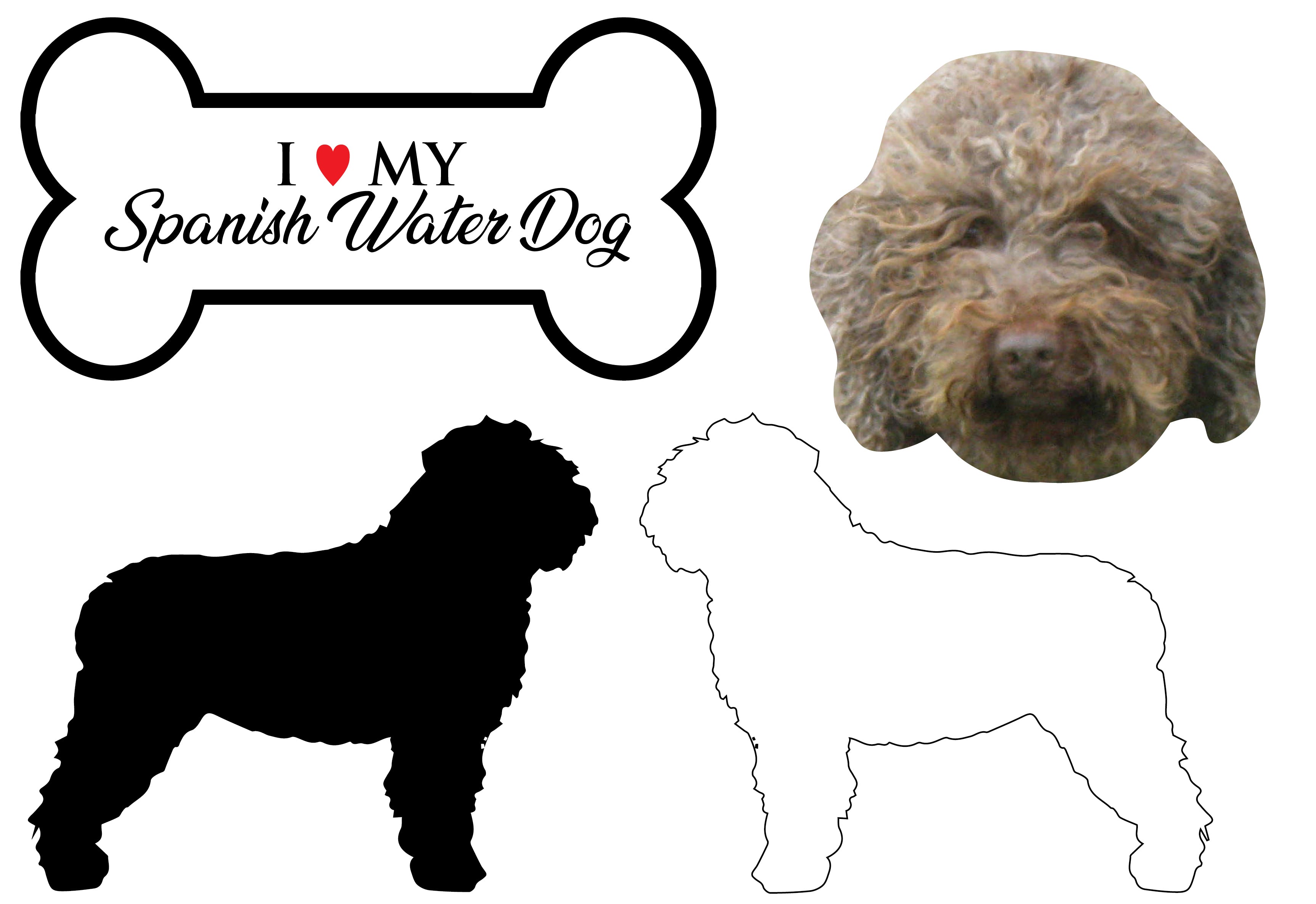 Spanish Water Dog - Dog Breed Decals (Set of 16) - Sizes in Description
