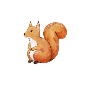 Squirrel - Woodland Creatures Collection