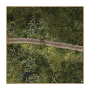 Swamp Road - 36" x 36" Battle Mat for Table Top RPGs, Dungeons and Dragons, Pathfinder Etc.