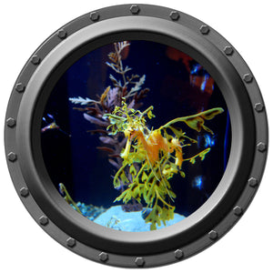 The Sea Dragon Watches You Porthole Wall Decal