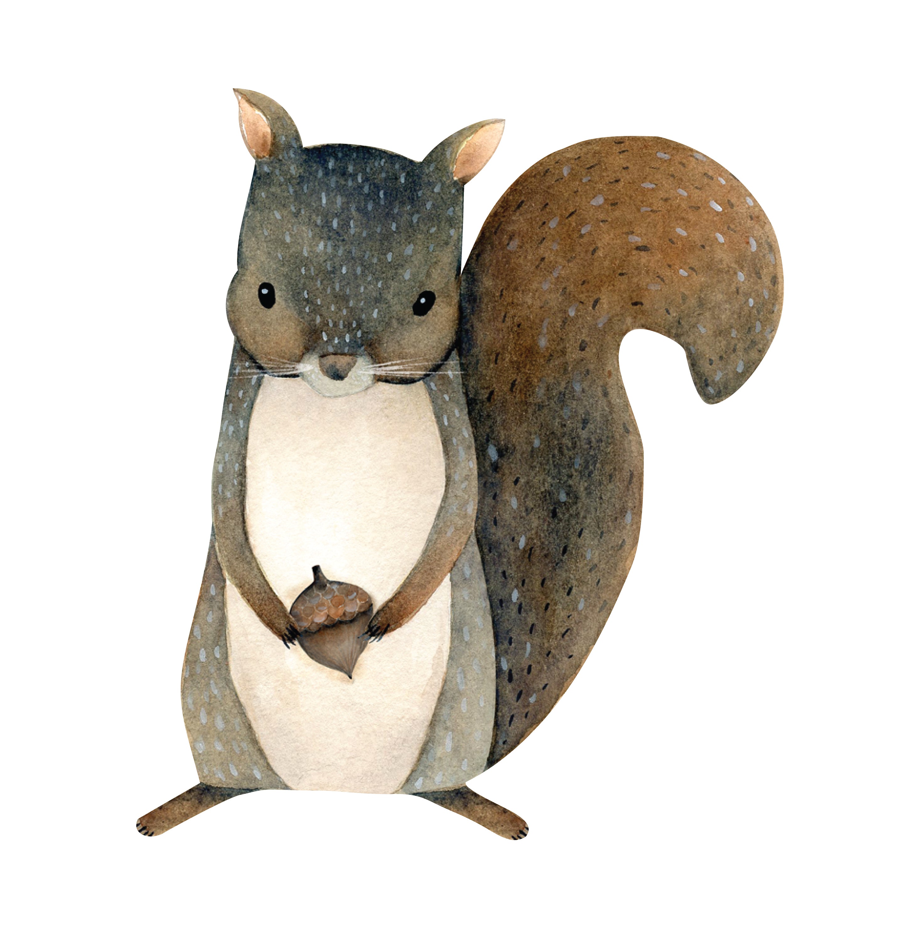 Tree Squirrel - Woodland Creatures Collection