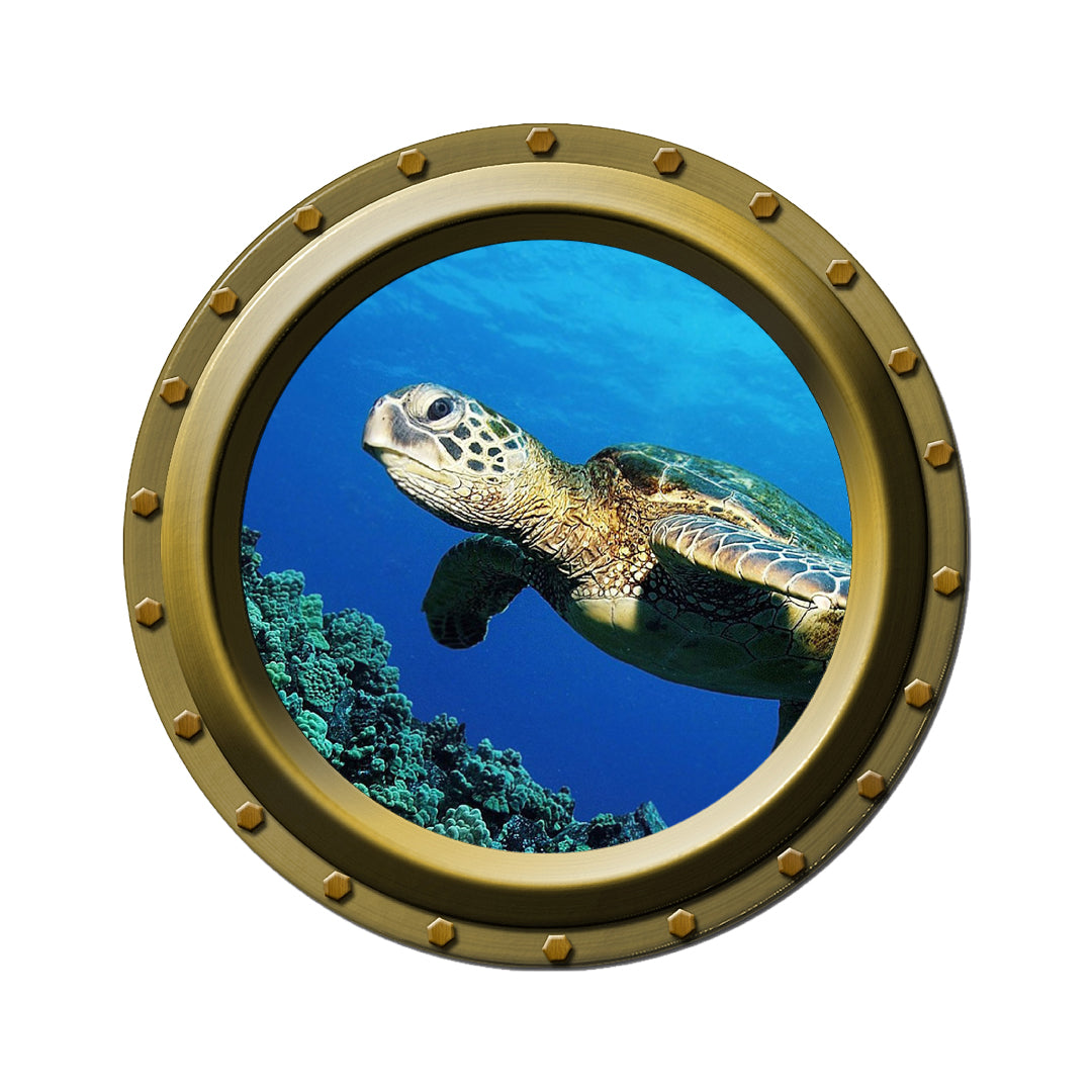 Turtle Swimming Over a Reef Porthole Wall Decal