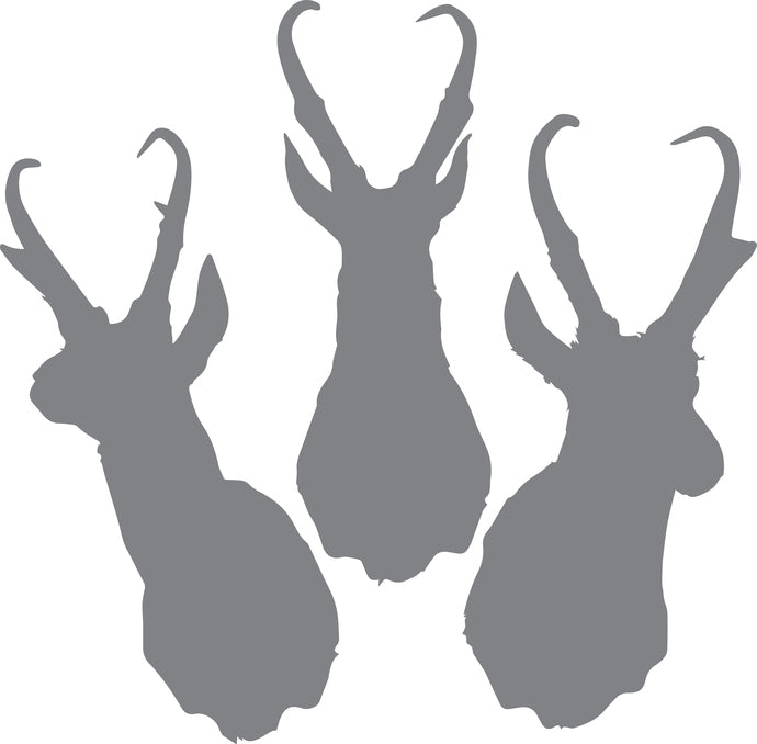 Trio Pronghorn Mounts - The Great Outdoors Series - Etched Decal