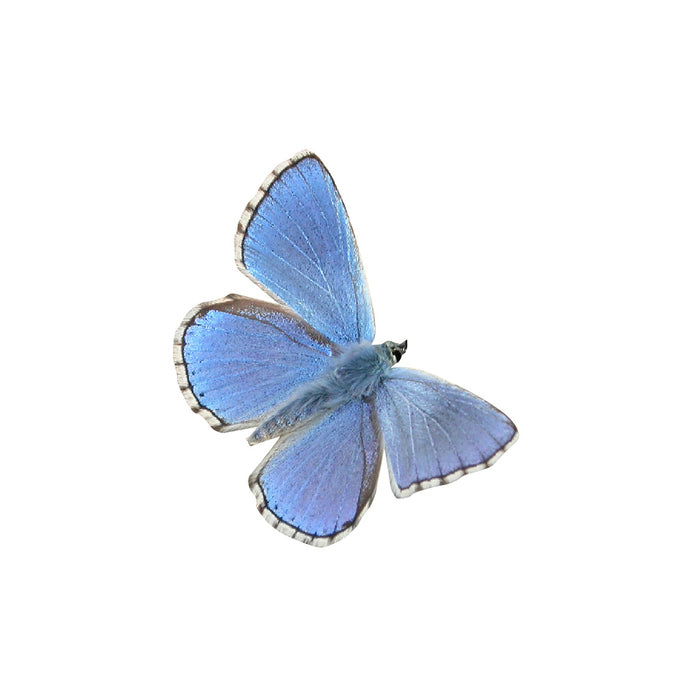 Blue Copper - Butterfly Decal - Varying Sizes Available