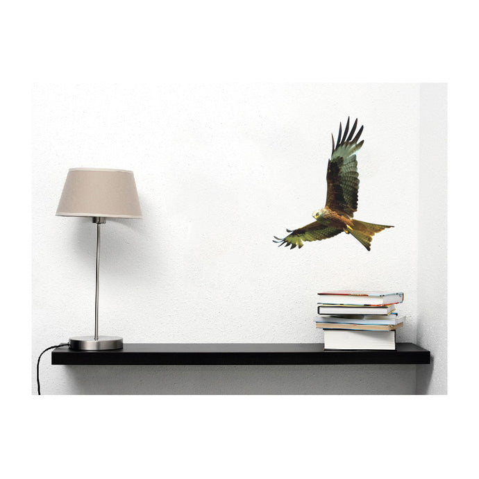 Kite in Flight Bird of Prey Wall Decal Design 3 - Varying Sizes Available