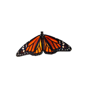 Monarch Butterfly Design 7 Decal