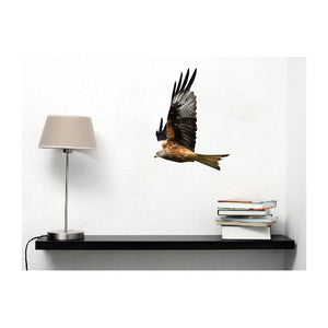 Kite in Flight Bird of Prey Wall Decal Design 5 - Varying Sizes Available
