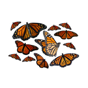 Monarch Butterfly Decal Set - Sizes shown in Second Example Image