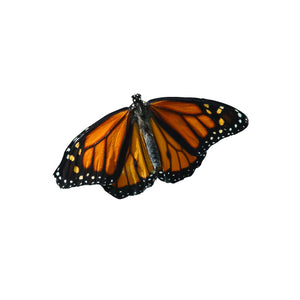 Monarch Butterfly Design 5 Decal