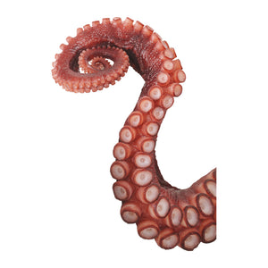 Giant Tentacle Wall Decal