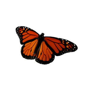 Monarch Butterfly Design 6 Decal