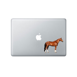 Chestnut Horse Laptop - Vinyl Decal