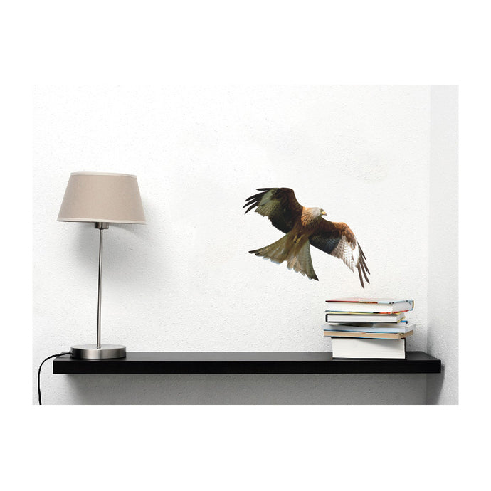 Kite in Flight Bird of Prey Wall Decal Design 7 - Varying Sizes Available