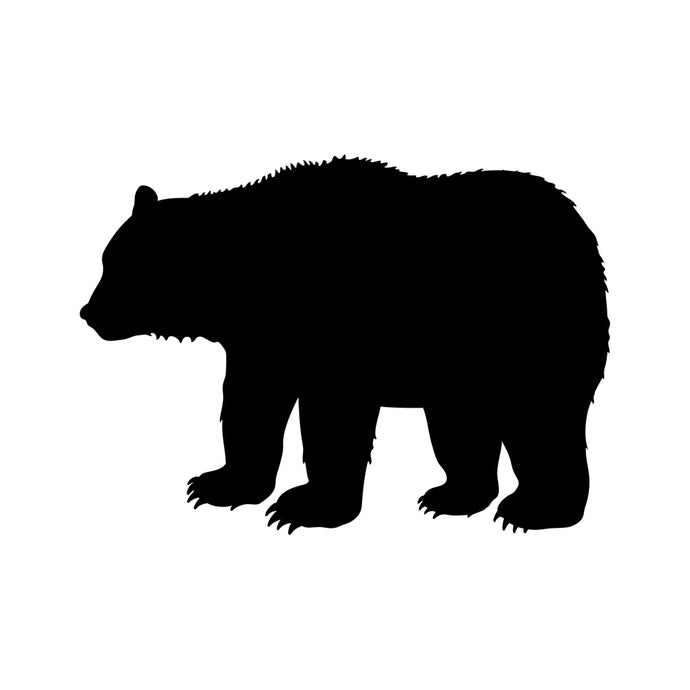 Grizzly Bear Wall Decal