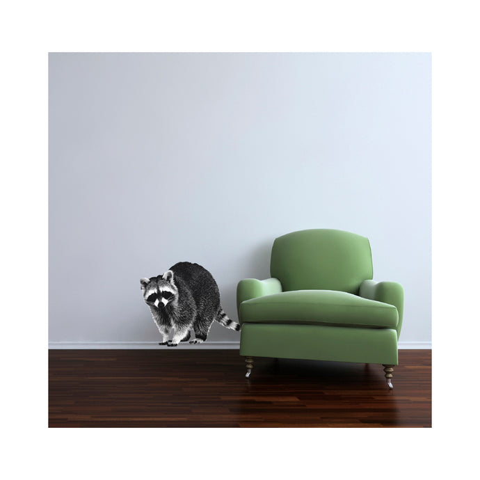 Pen and Ink Style - Raccoon Wall Decal