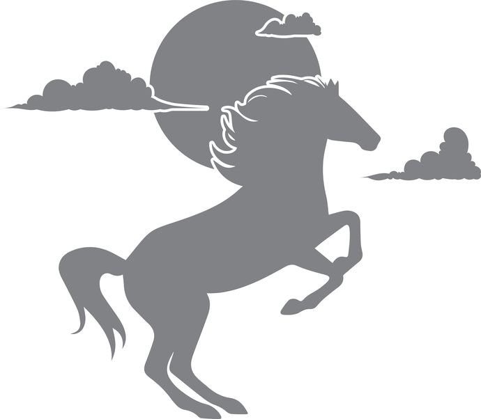 Stallion's Day - The Great Outdoors Series - Etched Decal