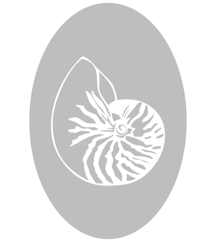 Shell Design Two Oval - Coastal Design Series - Etched Decal