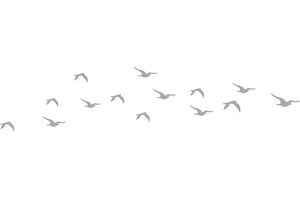Flock of Sea Gulls - Coastal Design Series - Etched Decal