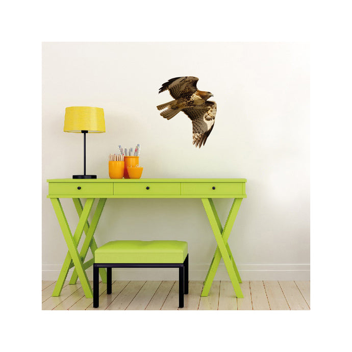 Red Tailed Hawk Wall Decal - Custom Sizes Available