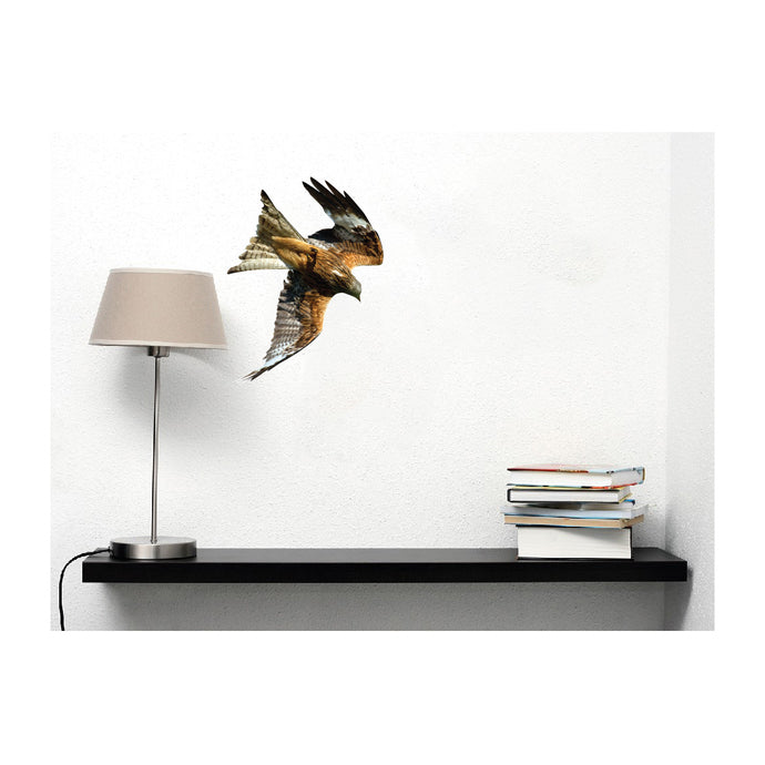 Kite in Flight Bird of Prey Wall Decal Design 4 - Varying Sizes Available