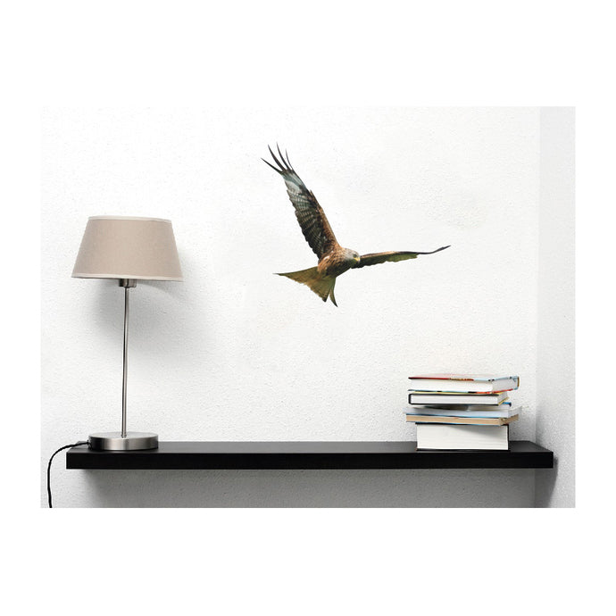 Kite in Flight Bird of Prey Wall Decal Design 2 - Varying Sizes Available