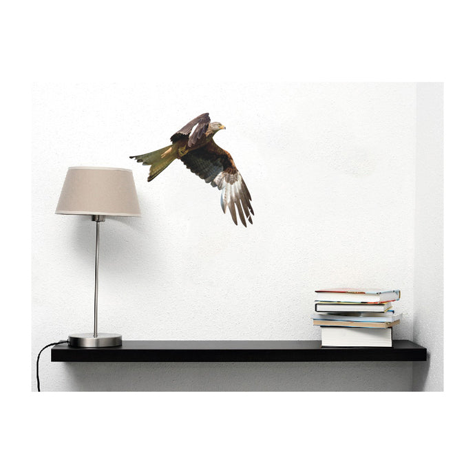 Kite in Flight Bird of Prey Wall Decal Design 6 - Varying Sizes Available