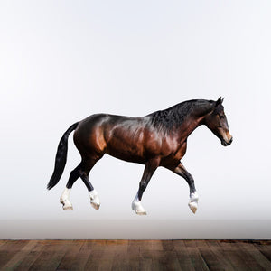Horse Design 4 - Vinyl Decal