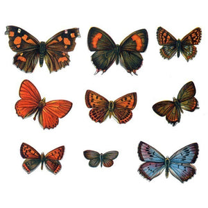 19 Vintage Styled Butterfly Decals Set Design Two - Sizes Shown on Example Image Below