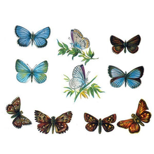 19 Vintage Styled Butterfly Decals Set Design Two - Sizes Shown on Example Image Below
