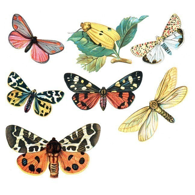 Vintage Styled Butterfly Decals Set 1
