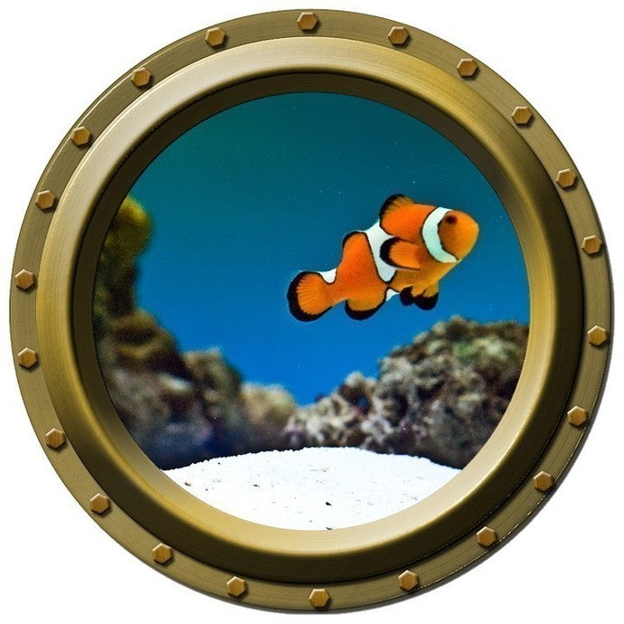 The Bright Clown Fish Porthole Wall Decal