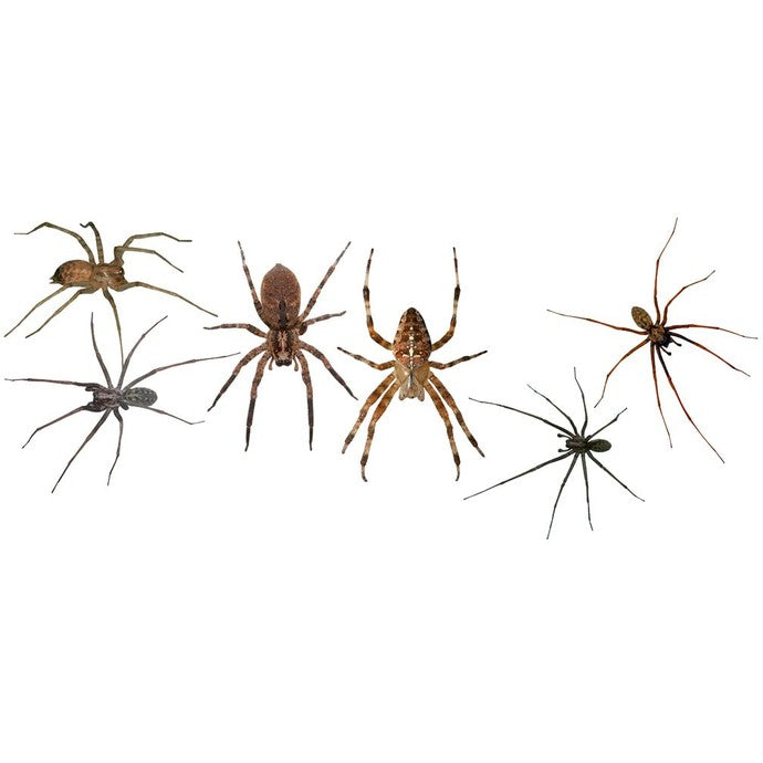 6 House Spiders Decal Set