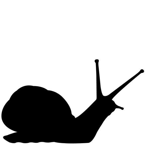 Giant Snail Wall Decal - 10" tall x 17" wide