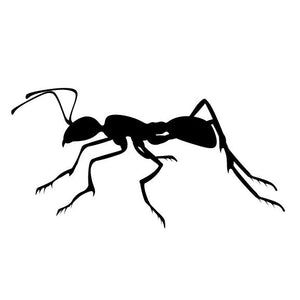 Huge Ant Vinyl Wall Decal - 54.07" wide x 27.69" tall