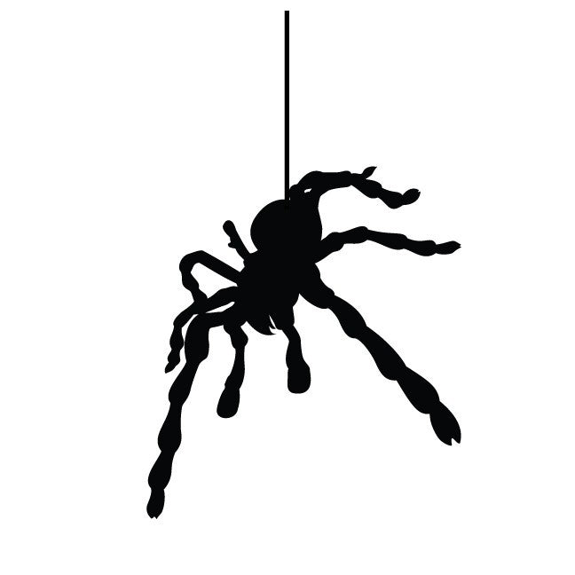 Spider Hanging from a Web Vinyl Wall Decal - 5" wide x 27.5" Tall