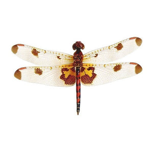 Tiger Dragonfly Wall Decal - Available in various sizes