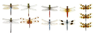 The Dragonfly Collection - 11 Dragonfly Decals - Sizes in Description